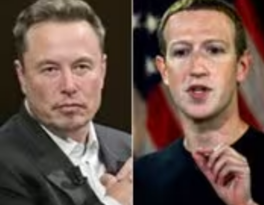 Musk, Zuckerberg Call Out Each Other for Cage Fight