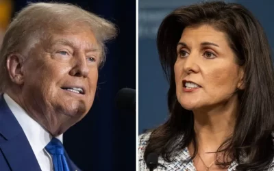 Trump Provides Update On Potential Running Mate Nikki Haley Amid Rumors