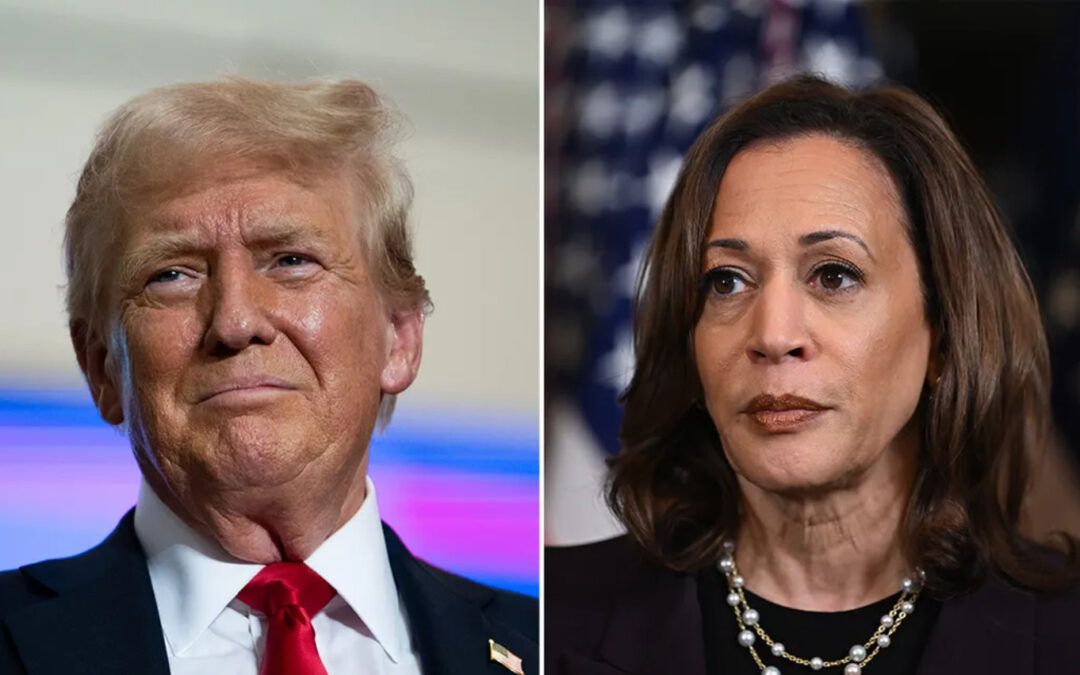 Trump Retakes Lead Over Harris In General Election Poll