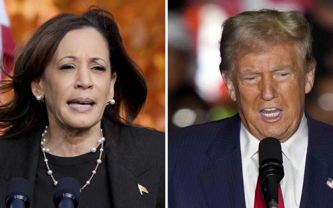 Forecaster Who Backed Kamala Harris Now Says Trump Set for Landslide