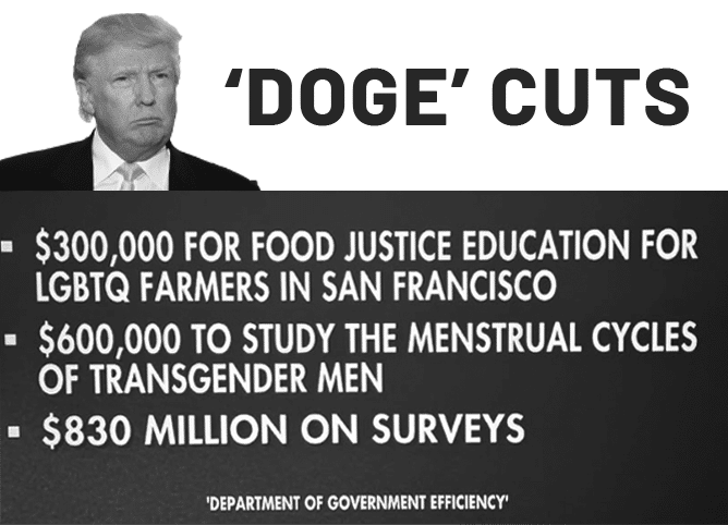 dogecuts - Copy