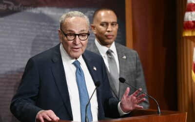 ‘Not Hurting Him at All’: CNN Analyst Gives Terrible Shutdown News for Dems