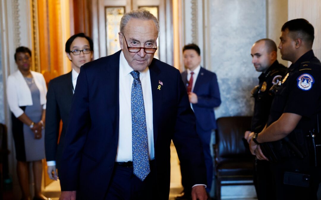 Schumer Retreats After GOP Senator Confronted Him Over Obamacare ‘Fix’