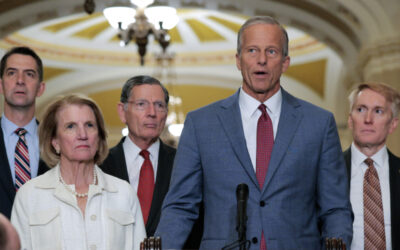 GOP Senator Provides Grim Update On Mitch McConnell