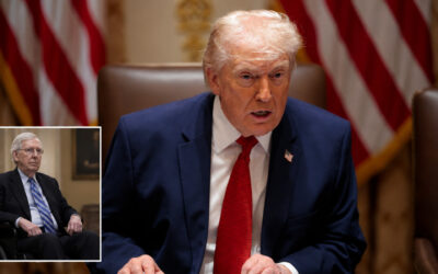 Trump Issues New Statement Regarding Mitch McConnell